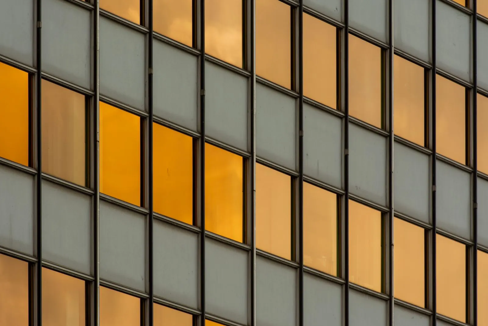 Signs Your Commercial Windows Need Replacing